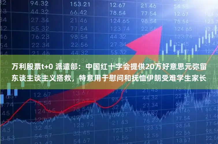 万利股票t+0 派遣部：中国红十字会提供20万好意思元弥留东谈主谈主义搭救，特意用于慰问和抚恤伊朗受难学生家长