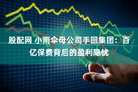 股配网 小雨伞母公司手回集团：百亿保费背后的盈利隐忧