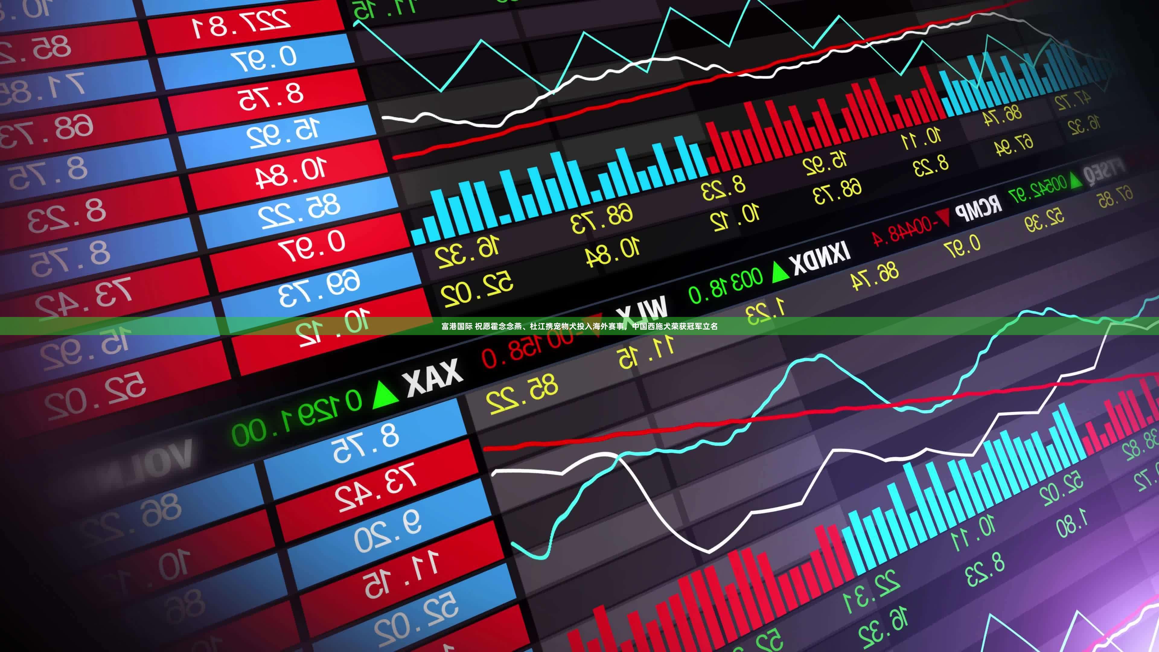 富港国际 祝愿霍念念燕、杜江携宠物犬投入海外赛事，中国西施犬荣获冠军立名